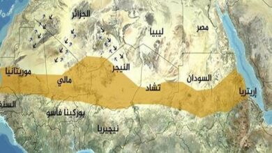 مصر توقف دهها فعال سیاسی تونسی، فرانسوی و الجزایری را در قاهره اعلام کرد / الجزائر , النيجر , الجيش الجزائري , حماية المنشآت النفطية , منطقة الساحل الأفريقي
