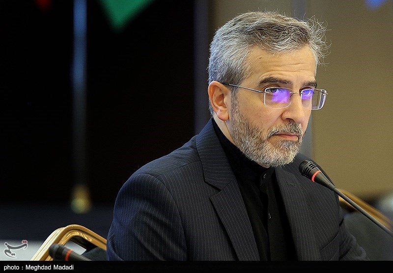 Examining the release of Iran’s blocked money in Bagheri’s meeting with Elzayani