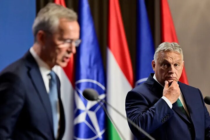 An article written by Orban about NATO; The rooster’s tail is sticking out