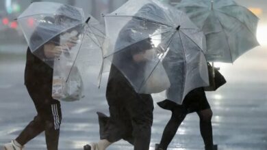 Strong typhoon Shanshan left 54 injured in Japan
