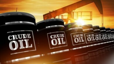 Oil price today; February 7th; Brent $ 2 and 2 cents