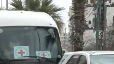 What was the phrase that Palestinian captives carved on the cell wall?