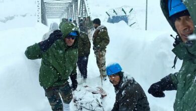 Avalanche falling near the Indian -China border with at least two victims