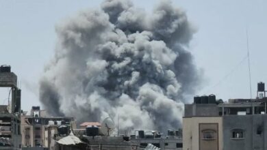 How many students and teachers have been martyred by the Zionists?