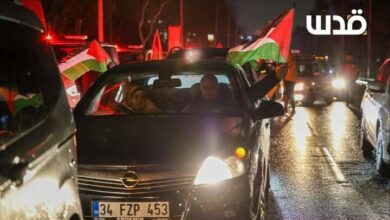 Turkish people came to the streets in defense of Gaza+ pictures