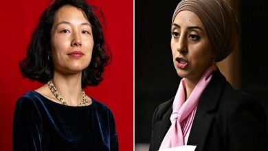 Two British parliamentarian reaction to arrests by Zionist regime