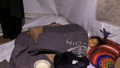 Gaza: Disease Outbreak Threatens Displaced Persons Amidst Continued Conflict /Gaza , Disease outbreak , Displaced persons , Medical crisis , Conflict