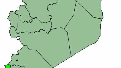 Israeli Artillery Targets Tel Ahmar in Southern Syria /Syria , Israel , Quneitra , Golan Heights , Tel Ahmar