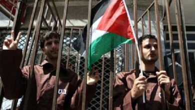 Israeli Regime's Crimes Against Palestinian Prisoners: Over 323 Deaths Since 1967 /Israeli regime , Palestinian prisoners , Gaza , human rights , Middle East conflict