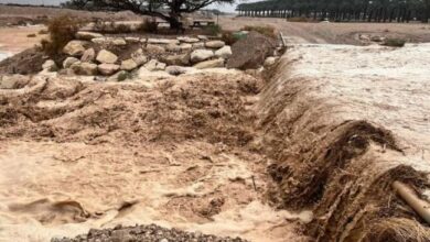 Flooding Paralyzes Eilat in Occupied Territories /Eilat , flooding , occupied territories , Israel , weather