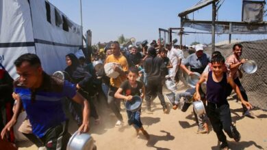 Gaza Aid: Humanitarian Assistance Disappears in 'Bermuda Triangle' Amidst Allegations of Israeli Complicity /Gaza , Humanitarian Aid , Israel , Looting , Palestine