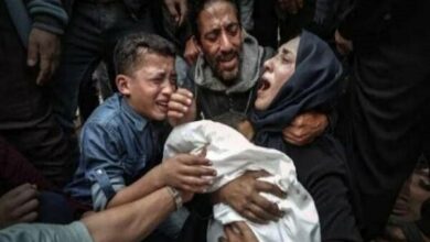 Israeli Forces Open Fire on Palestinian Displaced Persons in Gaza /Gaza , Israeli forces , Palestinian displaced persons , ceasefire violations , Middle East conflict