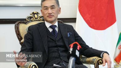 Japan's Ambassador to Iran Highlights Deep Cultural Ties, Future Cooperation /Iran , Japan , Cultural Exchange , Diplomacy , Tamaki Tsukada