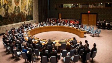 Security Council Addresses Gaza Infant Death, West Bank Violence /Security Council , Gaza , West Bank , Humanitarian Aid , Palestinian