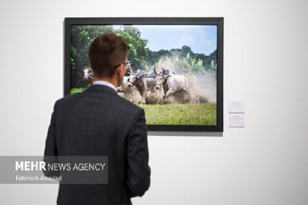 12th Andrei Stenin International Press Photo Contest Opens for Submissions /Andrei Stenin , photojournalism , international contest , photography awards , Russia