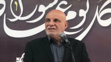 Lebanese MP: 'We Will Never Kneel' to Israel Normalization /Lebanon , Israel , Normalization , Ali Kharis , Nabih Berri