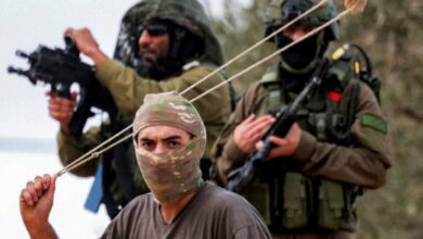 Report: Israeli Forces Conducted Over 2,100 Attacks on Palestinians in November /Palestine , Israel , settlements , attacks , human rights