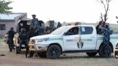 130 Abducted Students and Staff Freed in Nigeria /Nigeria , kidnapping , school attack , Niger State , armed groups