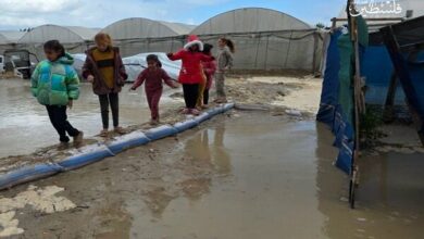 Gaza Ceasefire Violations Continue: Three Palestinians, Including Child, Killed Amid Severe Cold /Gaza , ceasefire violation , Israeli attacks , humanitarian crisis , Palestinian casualties