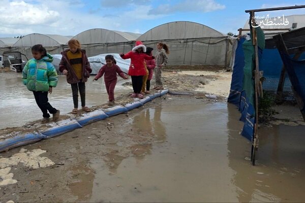 Gaza Ceasefire Violations Continue: Three Palestinians, Including Child, Killed Amid Severe Cold /Gaza , ceasefire violation , Israeli attacks , humanitarian crisis , Palestinian casualties