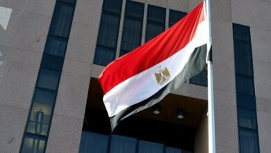 Egypt Praises Saudi Arabia and UAE's Constructive Approach to Yemen Developments /Yemen , Egypt , Saudi Arabia , UAE , Middle East
