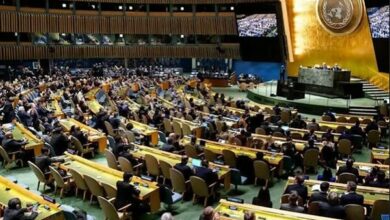 UN General Assembly Reaffirms Palestinian Right to Self-Determination /UN General Assembly , Palestine , Self-determination , Resolution , International Support