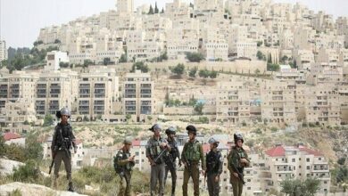 Egypt Condemns Israeli Settlement Expansion in West Bank /Egypt , Israel , West Bank , Settlements , International Law