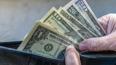 Three Global Currencies Outperform US Dollar in 2025 Amid Economic Uncertainty /US dollar , currency exchange , Swedish krona , Mexican peso , Swiss franc