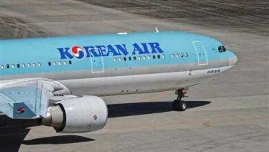 South Korea Bans In-Flight Use of Power Banks to Enhance Airline Safety /aviation safety , power bank ban , South Korea airlines , flight regulations , lithium-ion batteries