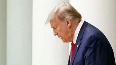 White House Announces Formation of 'Peace Council' as Part of Trump's Gaza War-Ending Plan /Gaza , Peace Council , Donald Trump , Palestinian National Committee , Middle East