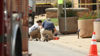 US Police Kill Migrant Woman in Minneapolis; Trump Defends Shooting Amid Immigration Crackdown /US immigration , police shooting , Donald Trump , Minneapolis , ICE enforcement