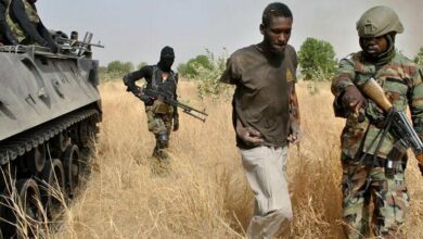 Gunmen Kill 46 Villagers in Coordinated Attacks Across Nigeria's Niger State /Nigeria , Niger State , Armed Attack , Security Crisis , West Africa