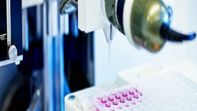 Innovation Fund Prioritizes Strategic Development in Pharmaceuticals, Medical Equipment, and Key Industries /Innovation Fund , Knowledge-based Companies , Technology Commercialization , Pioneers Fund , Strategic Industries