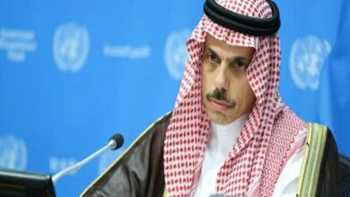 Egypt and Saudi Arabia Foreign Ministers Stress Diplomatic Resolution for US-Iran Tensions /Egypt , Saudi Arabia , Iran , United States , Diplomacy