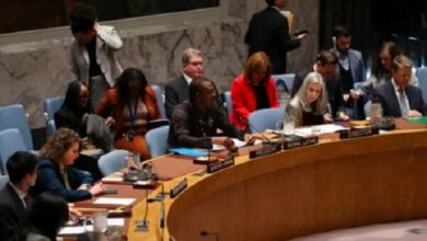 UN Security Council Convenes to Discuss Palestinian Situation, UK Chairs Session /UN Security Council , Palestine , Gaza , West Bank , UK Foreign Secretary
