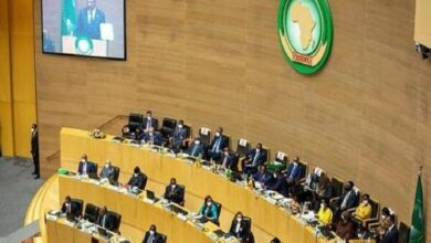 Egypt Assumes Leadership of African Union Peace and Security Council /Egypt , African Union , Peace and Security Council , Africa , conflict resolution