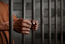 Iraq Confirms Transfer of Over 5,700 ISIS Terrorists from Syria /Iraq , ISIS , Terrorism , Syria border , Justice Ministry