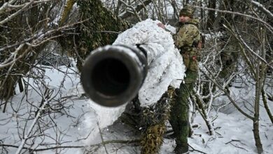Russian Forces Announce Liberation of Zaliznychne in Zaporizhzhia Region /Russia , Ukraine conflict , Zaporizhzhia , Russian Ministry of Defence , Vladimir Putin