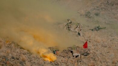 Saudi Arabia Conducts Mountain Warfare Drills in Taif Region /Saudi Arabia , military exercise , ground forces , Taif , combat readiness