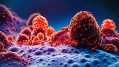 New Ontology Design Targets Smart Management of Occupational Cancers to Protect Workforce Health /occupational cancer , knowledge ontology , workforce protection , public health data , occupational health management