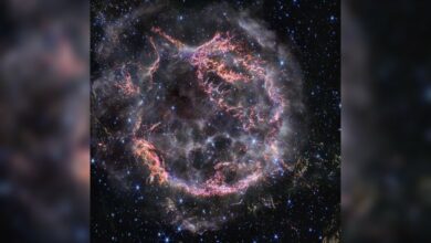 NASA's Image of the Day Captures Glowing Remnants of Supernova Cassiopeia A /NASA , James Webb Telescope , supernova , Cassiopeia A , astronomy