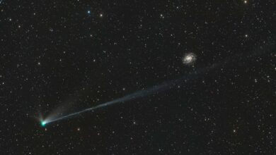 NASA Features Image of Singularity Comet Wierzchoś on Final Solar System Passage /Comet Wierzchoś , NASA image , Solar System , Interstellar object , Astronomy
