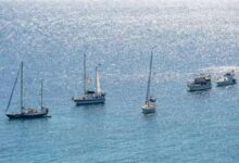 Global Fleet to Sail for Gaza Against Siege /Gaza , Siege , Rafah Crossing , Humanitarian Aid , International Protest