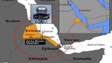 Eritrea Denies Ethiopian Accusations of Occupation and Supporting Rebels /Eritrea , Ethiopia , Tigray , border dispute , regional conflict