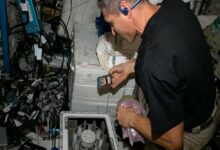 Microbes and Fungi Successfully Tested as Space Miners on International Space Station /bio-mining , space exploration , International Space Station , resource utilization , precious metals