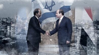 Israel-Egypt Tensions Escalate Over Somaliland Recognition, Military Buildup Expected by February 2026 /Egypt , Israel , Somaliland , Horn of Africa , Red Sea