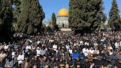 80,000 Palestinians Attend Friday Prayers at Al-Aqsa Mosque Amidst Restrictions /Al-Aqsa Mosque , Ramadan prayers , Palestinian attendance , Gaza , Jerusalem