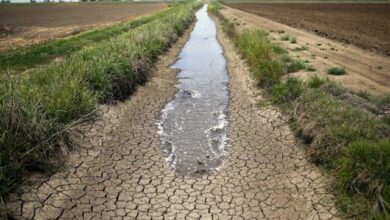 آب در حوضه کرخه به خوبی مدیریت نمیشود/ کشاورزان پاییندست با مشکل مواجهاند