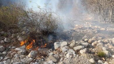 آتش سهلانگاری بر جان مراتع سمیرم