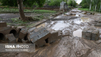 آخرین آمار خسارت سیل به بخش کشاورزی/ کدام استانها بیشترین آسیب را دیدهاند؟